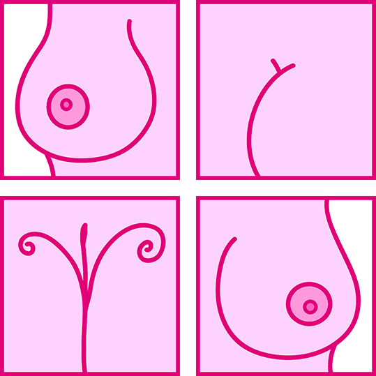 Das erotische Quartett